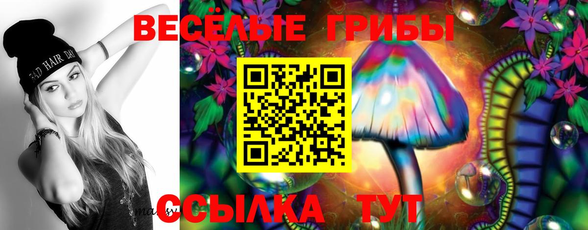 Дзержинский  купить  сайты  Вход с VPN  Галлюциногенные грибы GOLDEN TEACHER 